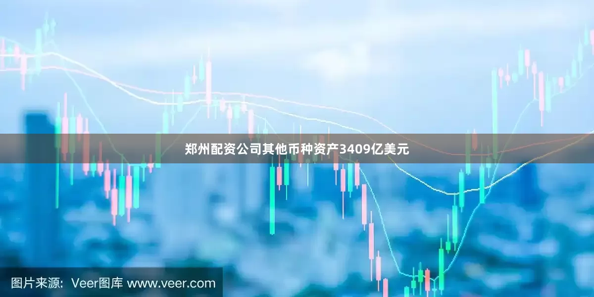 郑州配资公司其他币种资产3409亿美元