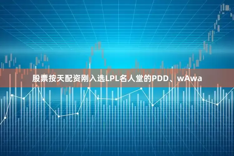 股票按天配资刚入选LPL名人堂的PDD、wAwa